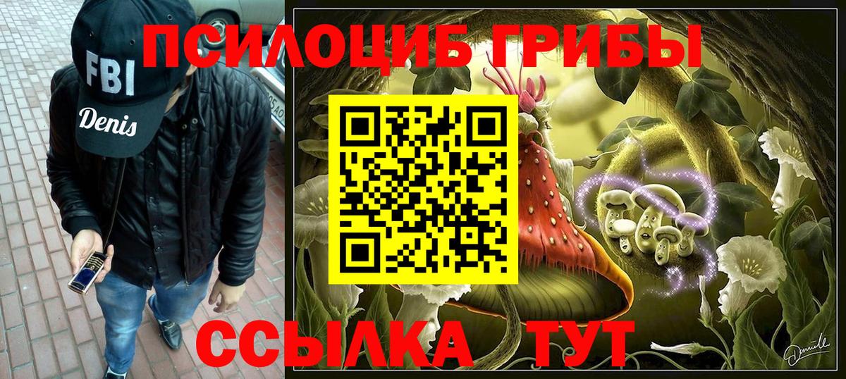 Псилоцибиновые грибы Cubensis  Вход с VPN  Родники 