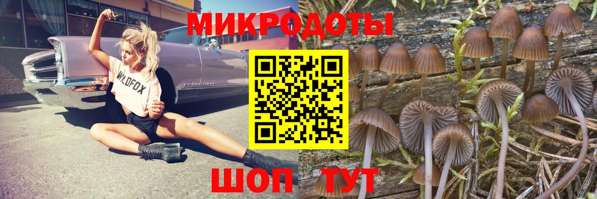 Галлюциногенные грибы MAGIC MUSHROOMS Родники